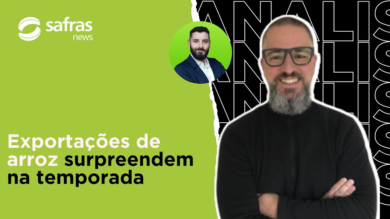 Exportações brasileiras de arroz surpreendem, mas ainda aquém do necessário