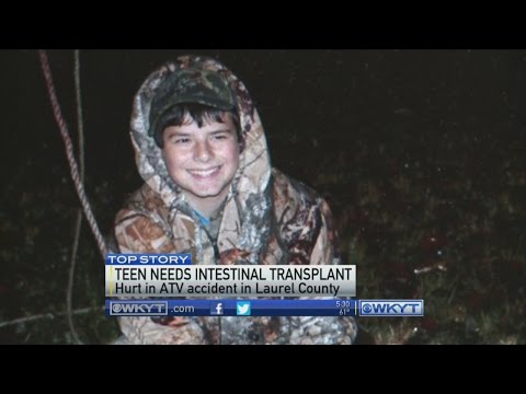 how to transplant laurel