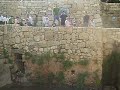 CRAZY JUMP TO  POOL