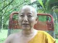Ven. Dhammavuddho 29 - More criticisms of the Mahayana