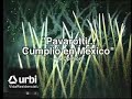 Pavarotti Mexicali Parte 2