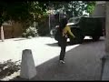 national army