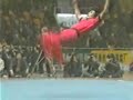 Ditang Quan ??? - Zhao Changjun Ditang Quan ??? - Zhao Changjun