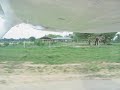 Aterrizaje en Estancia de Cessna 206