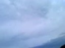 los-perros-de-la-90.html