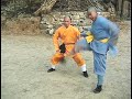 Shaolin Kung Fu: Iron Testicles