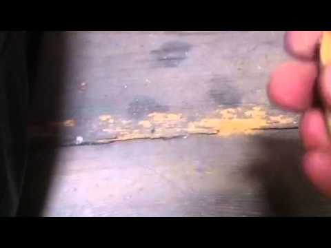 woodworm - Heavy timber infestation. Often you cannot see the wood boring insect as its under the floor. These little critters can be costly.