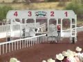 EL REMI VS LA SALMA 13 DE MAYO 2007