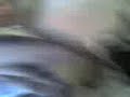 pulgas follando