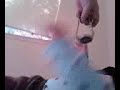 playing at the new apt.!