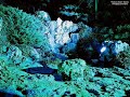 Listen carefully - paranormal sounds and figure - Listen carefully - paranormal sounds and figure -