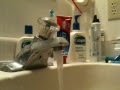 Jonathan RT @peoplechoose to run water while brushing their teeth and waste ... more than 6500L of water a year. http://tinyurl.com/yhql6dw.