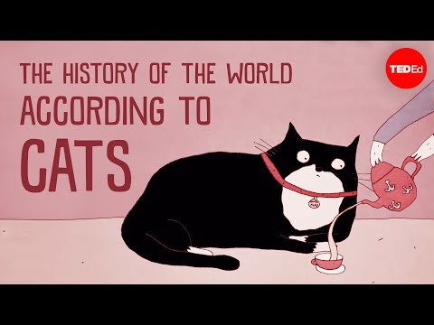 The history of the world according to cats - Eva-Maria Geigl