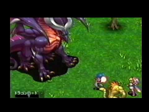 動画