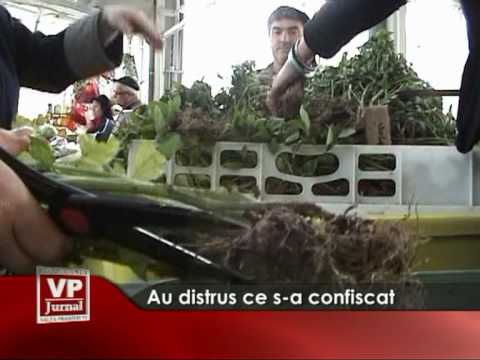 Au distrus ce s-a confiscat