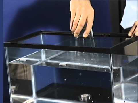 how to prove that air occupies space