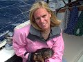 ali's doggy lifejacket for sailing