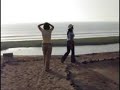 bandurria   sitio arqueológico huacho lima peru