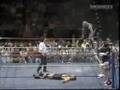 The Juicer Art Barr in WCW