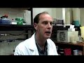 The promise of biofilm research  Conjunctivitis Antibiotics