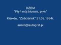 Dżem-"Płyń mój bluesie,płyń" (Zaścianek '94)