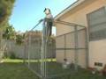 Bill the Dog Escape Artist