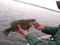 Big Green Lake