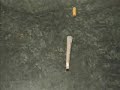 porro