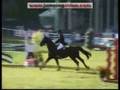 videos de O'Brion Du Plessis - CSI *** Royan 2008 - 1er Tour