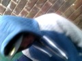 Click here to watch this video PHT 64