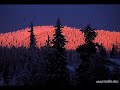 F. Schubert - Serenade