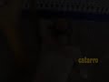 Al Hagamba Muza - el trailer Al Hagamba Muza - el trailer