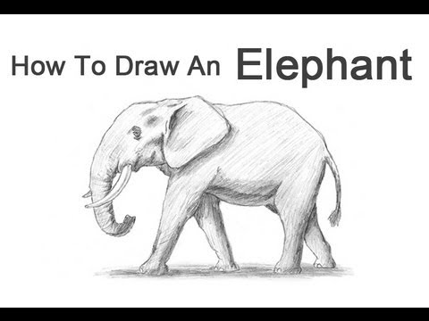 how to draw elephant