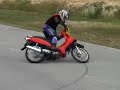 shogun test