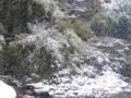 Nepal trekking 1-b Nepal trekking 1-b