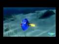 Dublagem - Procurando Nemo - Versão 2