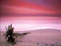 Prelude to the dawn - Piano Solo