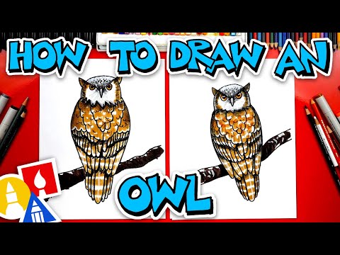 video-linktoworks-How To Draw A Realistic Owl