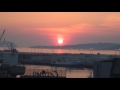 Fauna de Vigo