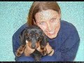 Daschund Quick Daschund Quick