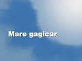 sunt-mare-gagicar-ch
