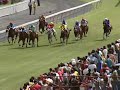 Click here to watch this video 2012 - 9th race meeting, 1st race - last 300m