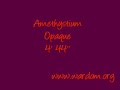 Amethystium - Opaque Amethystium - Opaque