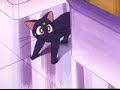Lisa Dal Bello in Sailor Moon