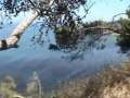 Video Blog #4: 