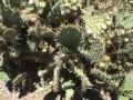 Video Blog #4: 
