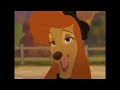 dixie\