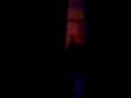 videos de The Introduction of one cat to another