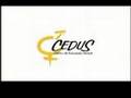 Campanha de Prevenção da Sífilis - CEDUS