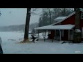 tree cutting error